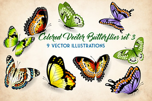 Vector Butterflies Illustrations