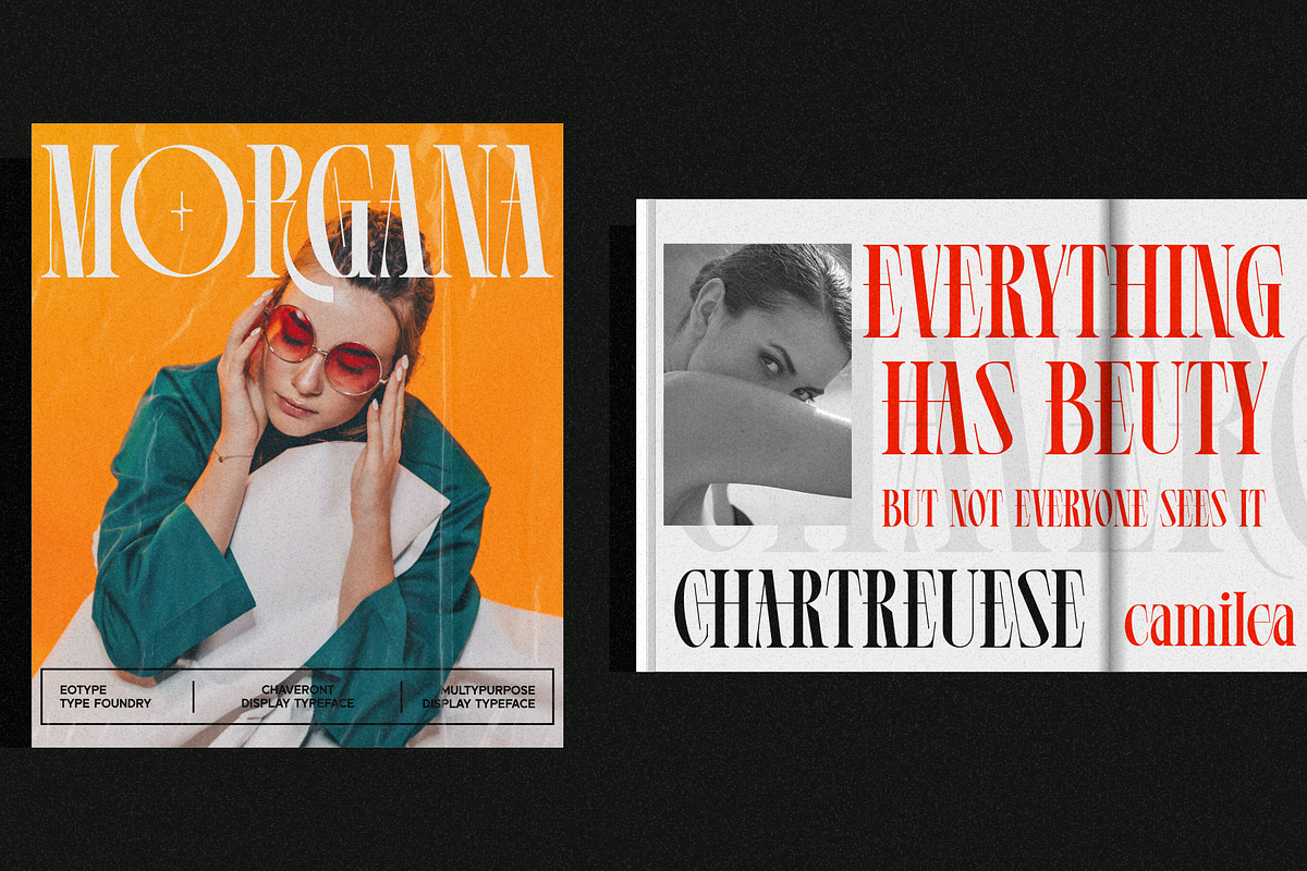 Chaveront, a Serif Font by Eotype Studio (Photo 8 of 14)