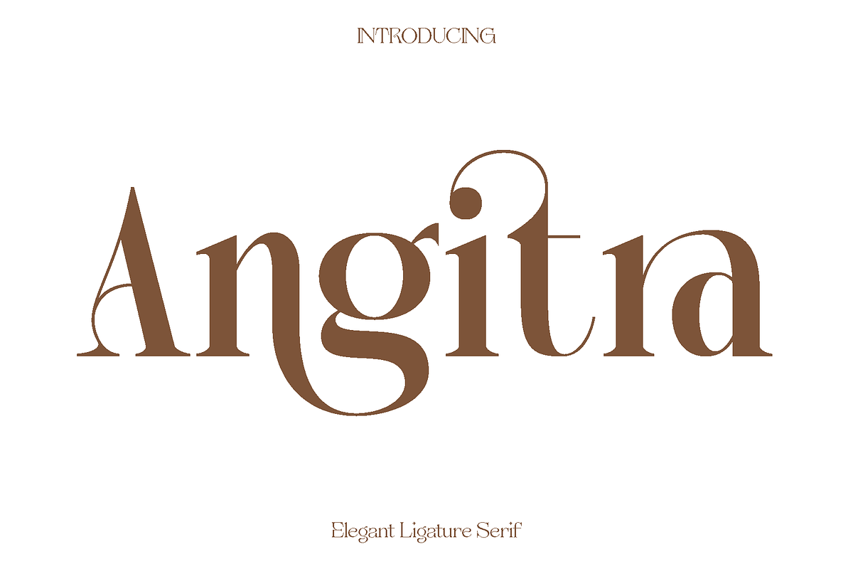 Angitra - Elegant Ligature Serif, a Serif Font by Luna Shop (Photo 1 of 11)