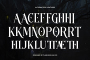 Regsrok - Fantasy Game Serif Font, a Serif Font by Flawless And Co (Thumbnail 9 of 10)