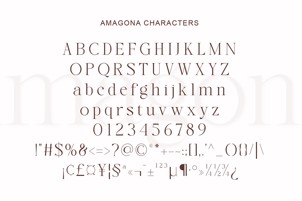 Amagona Clean Modern Serif, a Serif Font by Muflieart (Photo 8 of 10)