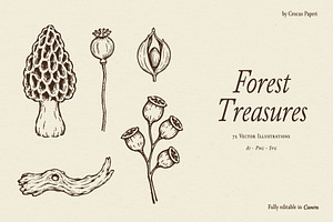 FOREST TREASURES illustrations, a Seasonal Illustration by Crocus Paperi