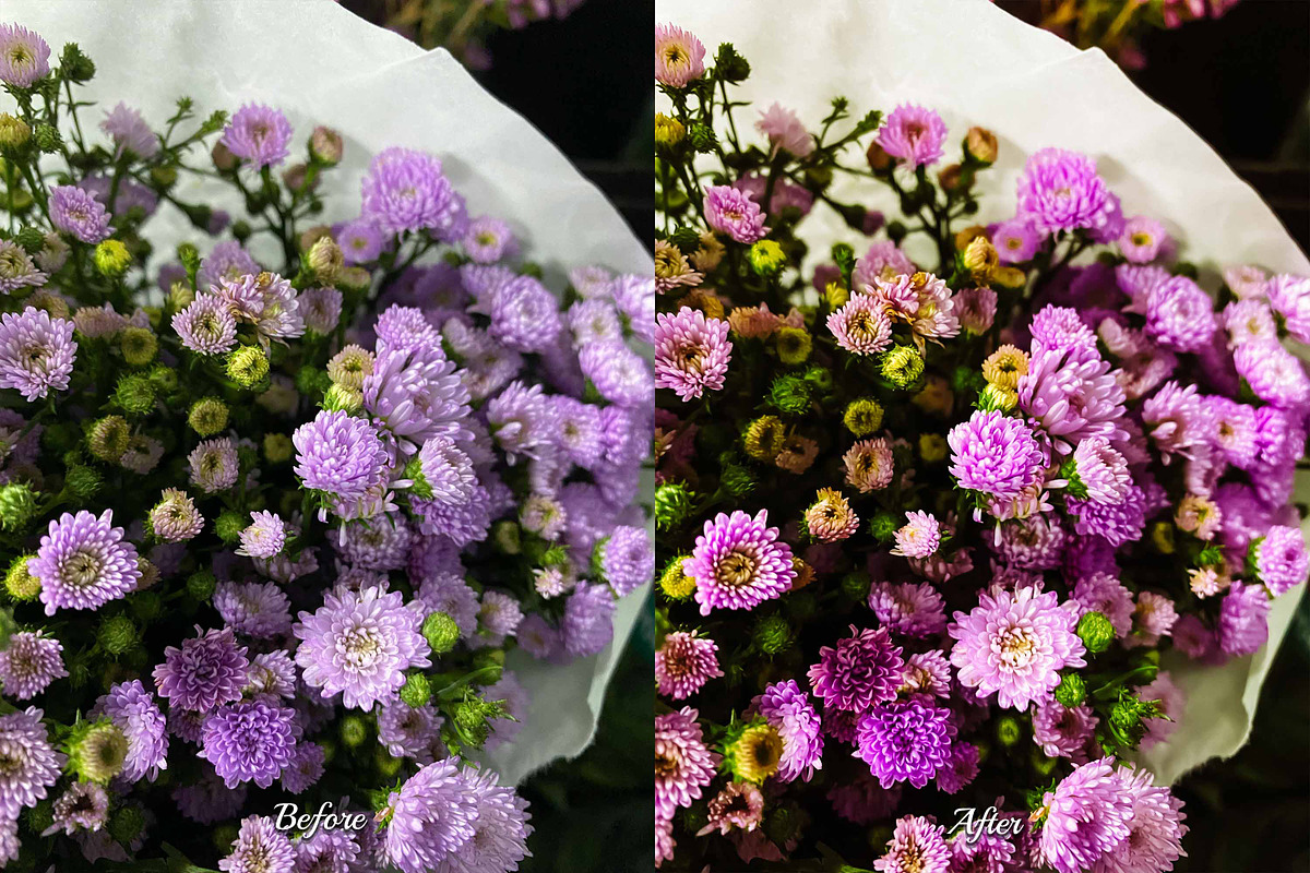 30 Flowers LUT Collection, a Preset Add-On by 3Motional (Photo 7 of 10)