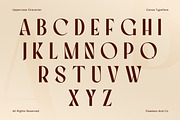 Canoa - Elegant Luxury Sans Font, a Sans Serif Font by Flawless And Co (Thumbnail 6 of 10)
