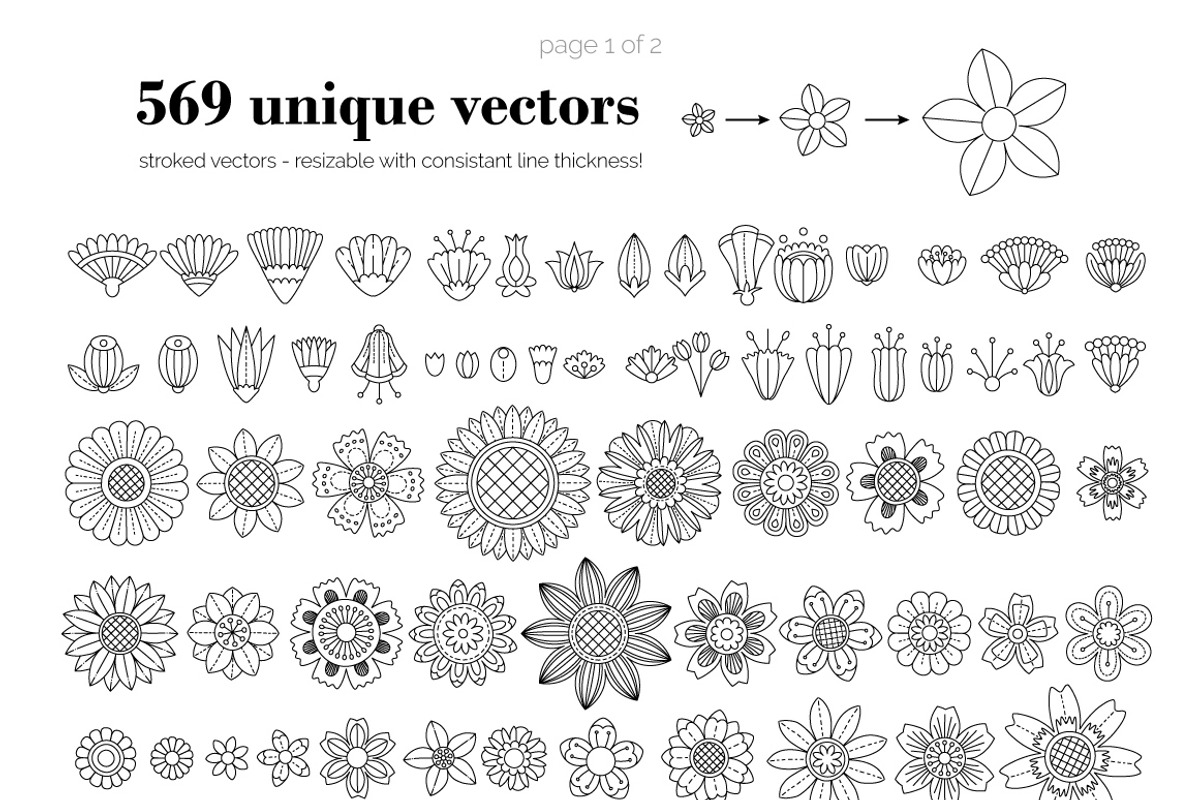 Floral Bouquet Mandala Creator, a Plug-in Add-On by Drifter Studio (Photo 9 of 10)