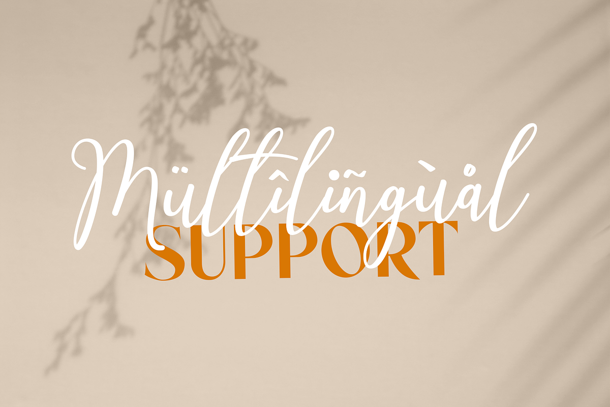 Modern Signature Bundle, a Script Font by Wildan Type (Photo 12 of 12)