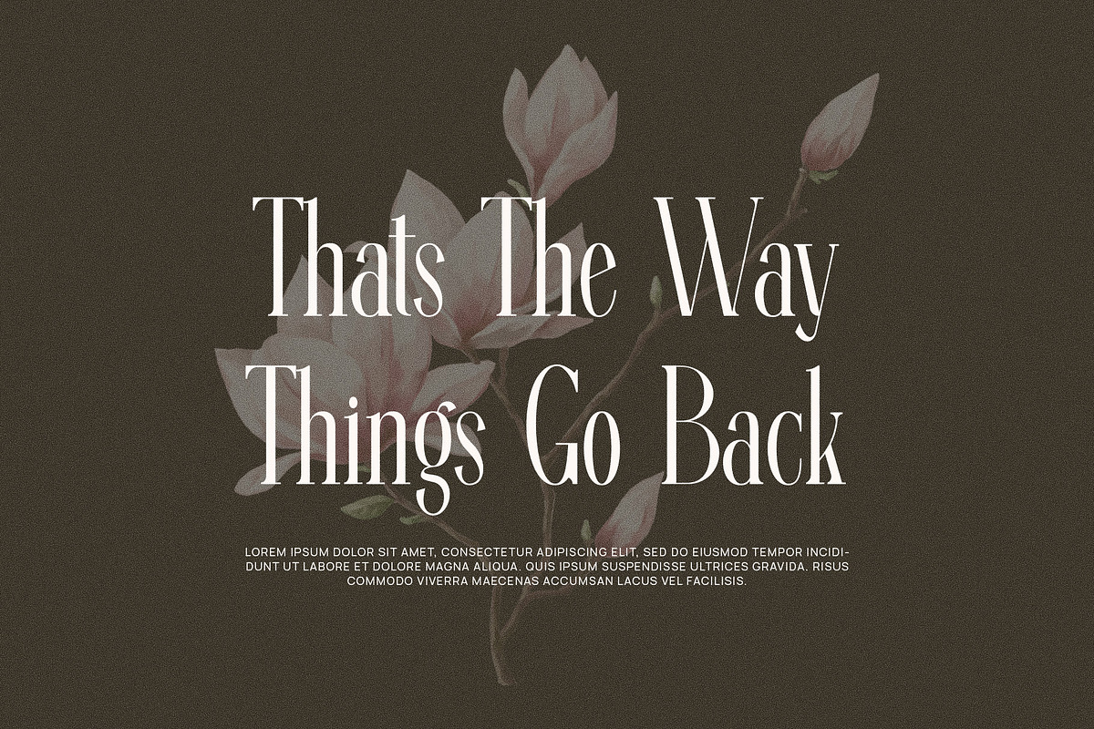 Ragista Elegant Ligature Serif Font, a Serif Font by Perfectype (Photo 6 of 7)