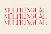 Milleka || Decorative Serif Font, a Serif Font by Idea Studio (Thumbnail 9 of 10)