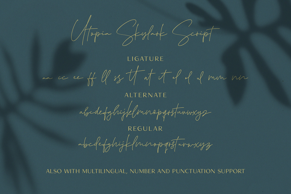 Utopia Skylark - Font Duo, a Sans Serif Font by Signatoro (Photo 13 of 20)