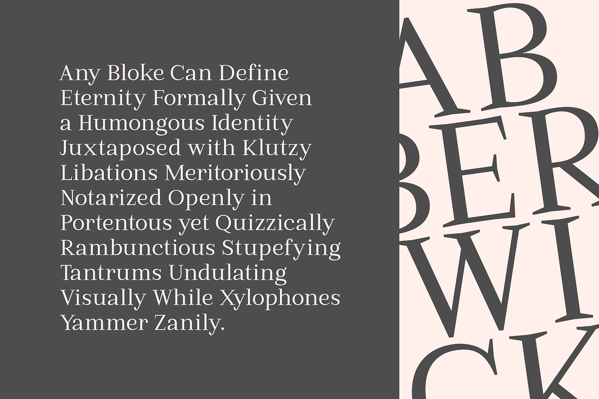 Abberwick - Modern Elegant Serif preview 5