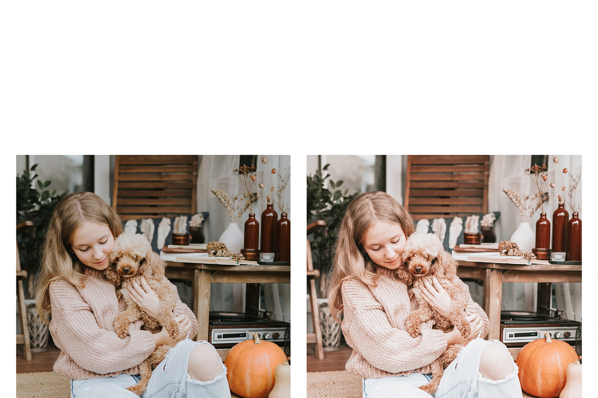 10 Pumpkin Pie Lightroom Presets, a Preset Add-On by MockTurtleStudio (Photo 6 of 8)