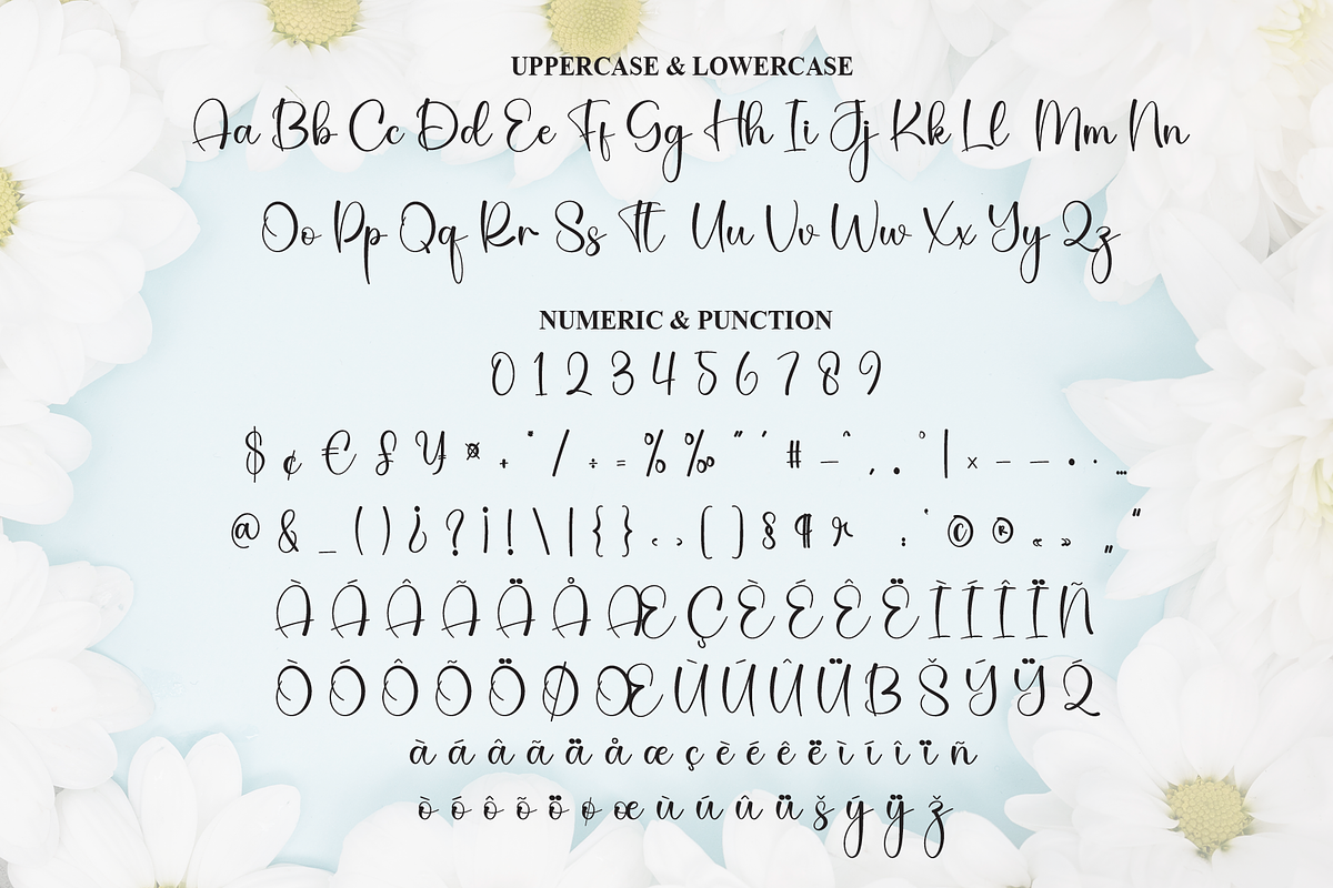 Flowers Zanitha | Script Font, a Handwritten Font by Scratchones (Photo 7 of 8)