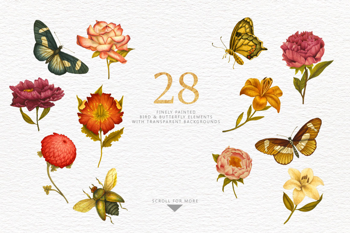 Flowers & Butterflies - Clipart, a Decorative Illustration by Singerie (Photo 2 of 8)