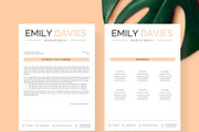 Resume Template 1 page | Davies, a Resume Template by Resume Angels (Thumbnail 4 of 9)