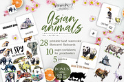Asian animals activities, an Animal Illustration by ArtSpotVeronika (Thumbnail 1 of 7)