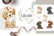 Puppy Paws 4. Watercolor Collection, an Illustration by OctopusArtis (Thumbnail 3 of 11)