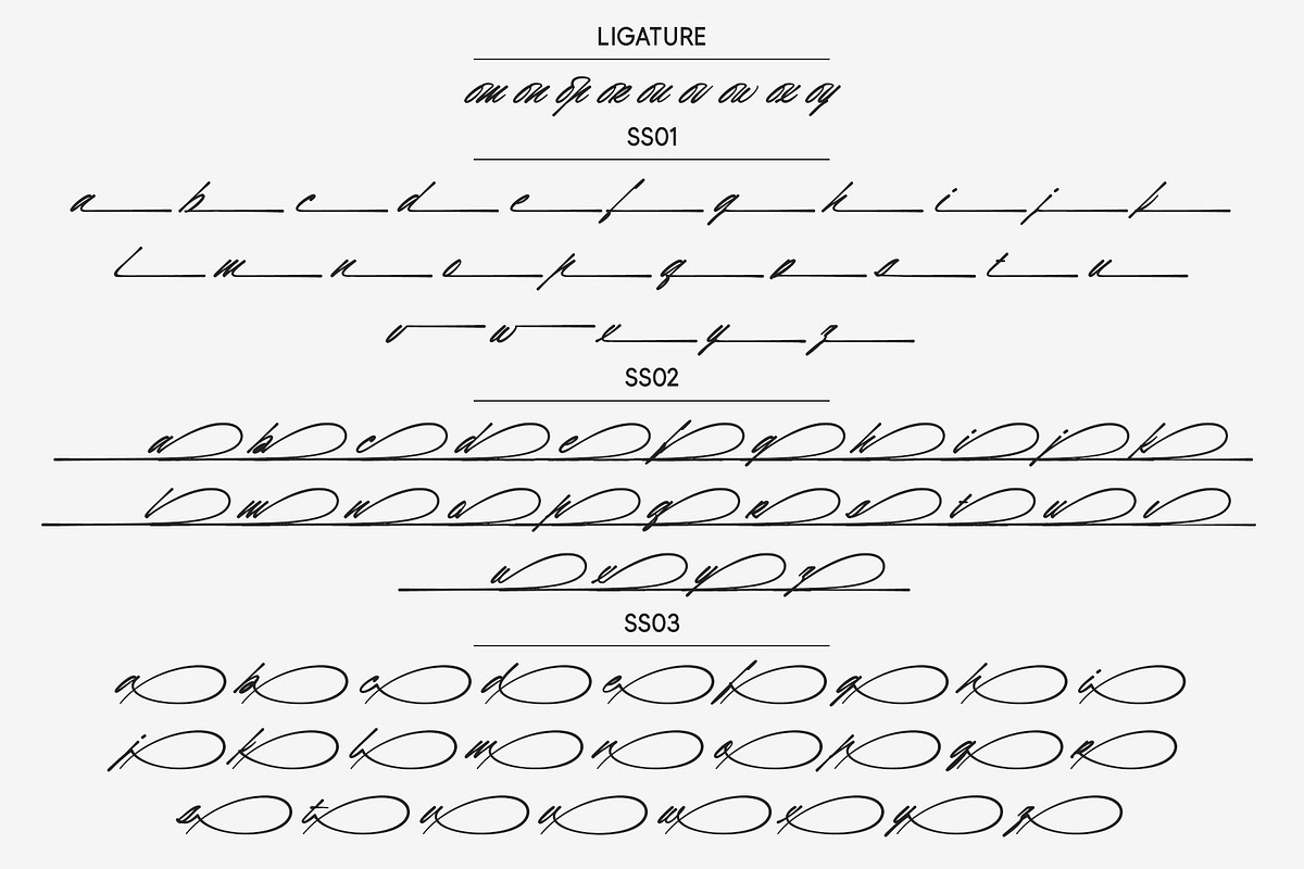 Bendor Signature, a Script Font by Lemonthe (Photo 11 of 11)