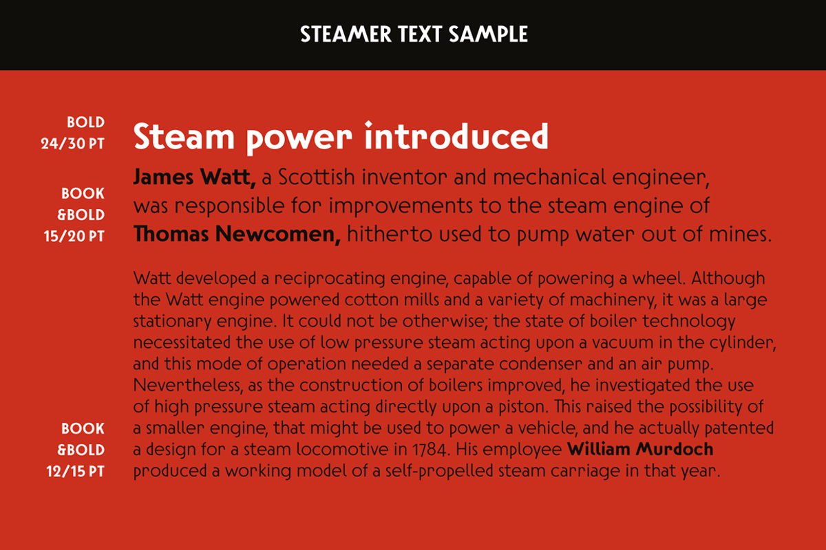 Steamer Font Family -50 % preview 5