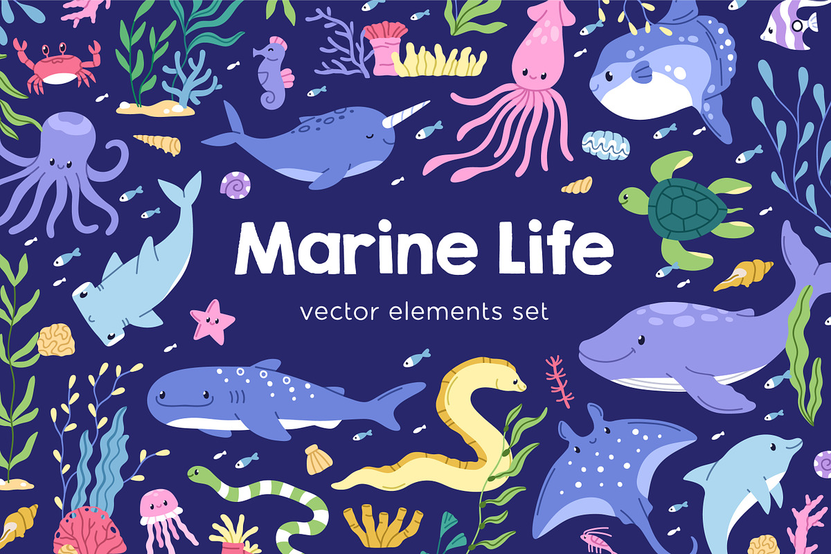 Marine life. Sea set, banner, cards, an Animal Illustration by Good Studio (Photo 1 of 12)