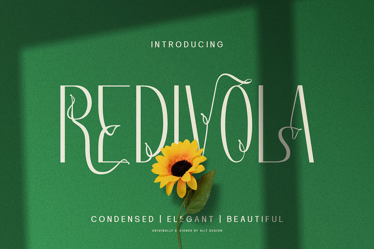 Redivola Typeface, a Sans Serif Font by alit design (Photo 1 of 15)