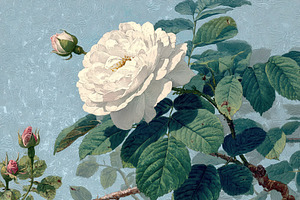 White Rose Bloom Botanical Art Paint, a Photo by Pixeness Studio
