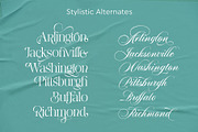 Notte Alexia, a Script Font by joelmaker (Thumbnail 12 of 25)