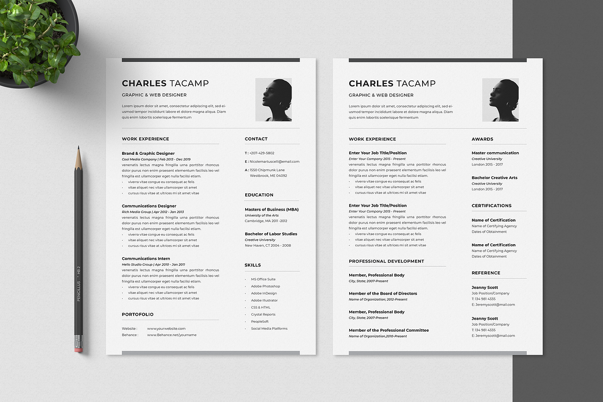 Professional CV Resume, a Resume Template by Faiz zakharia (Photo 3 of 7)