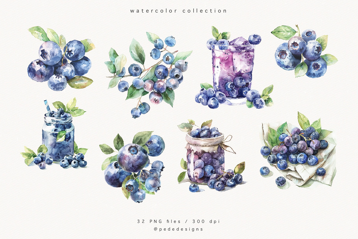 Watercolor Blueberries, a Food Illustration by PeDe Designs (Photo 2 of 4)