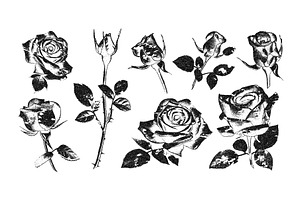 Rose flowers with vintage stipple, an Object Illustration by Simple Patterns