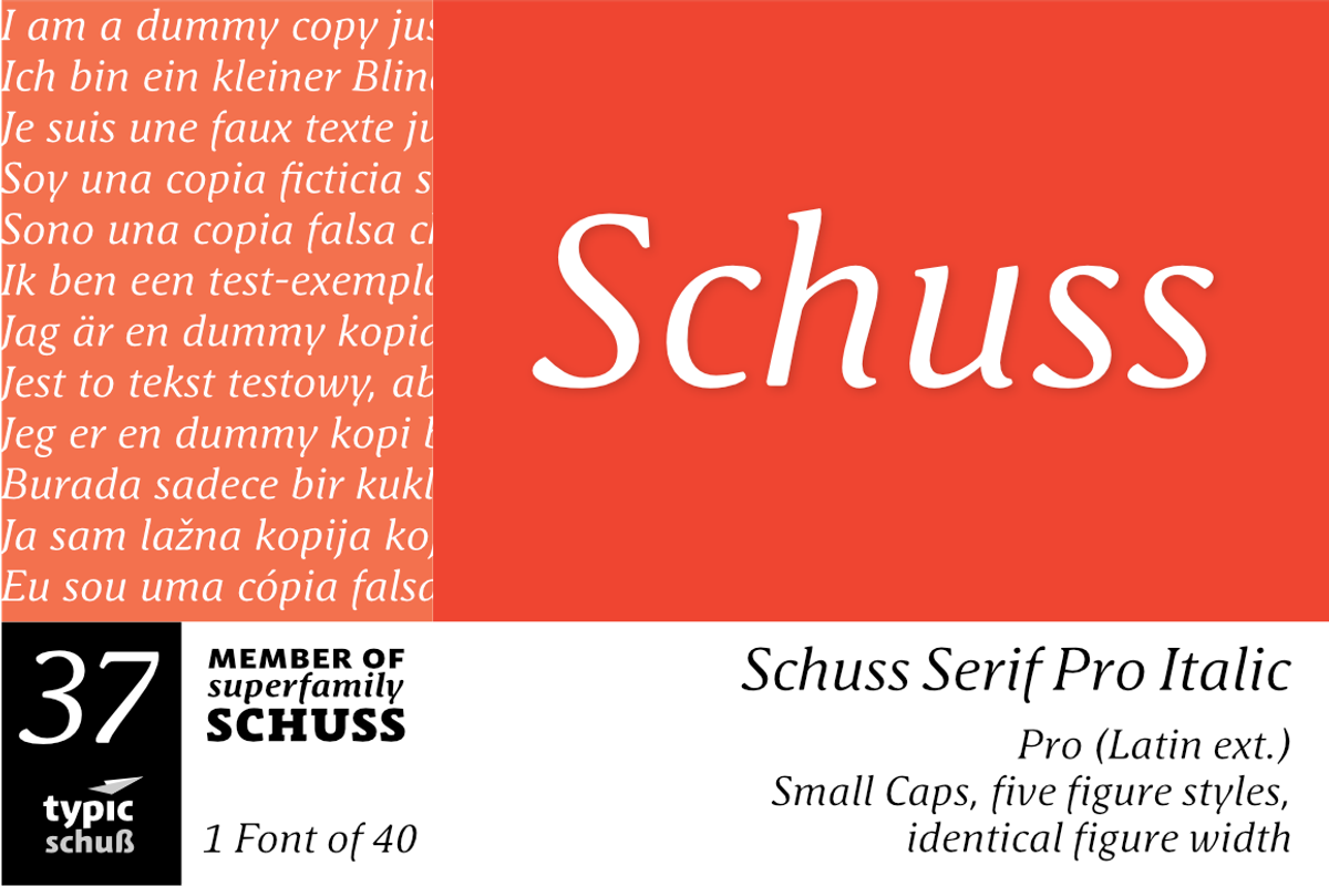 SchussSerifProIta No.37 (1 Font)