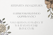 Probity - Creative serif font + more, a Serif Font by VP Fonts (Thumbnail 14 of 22)