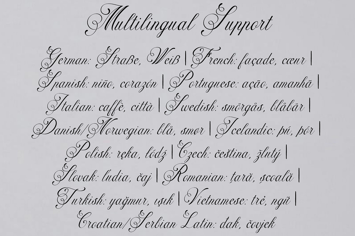 Fadune – Calligraphy Font Family, a Script Font by NDNL Studio (Photo 10 of 10)