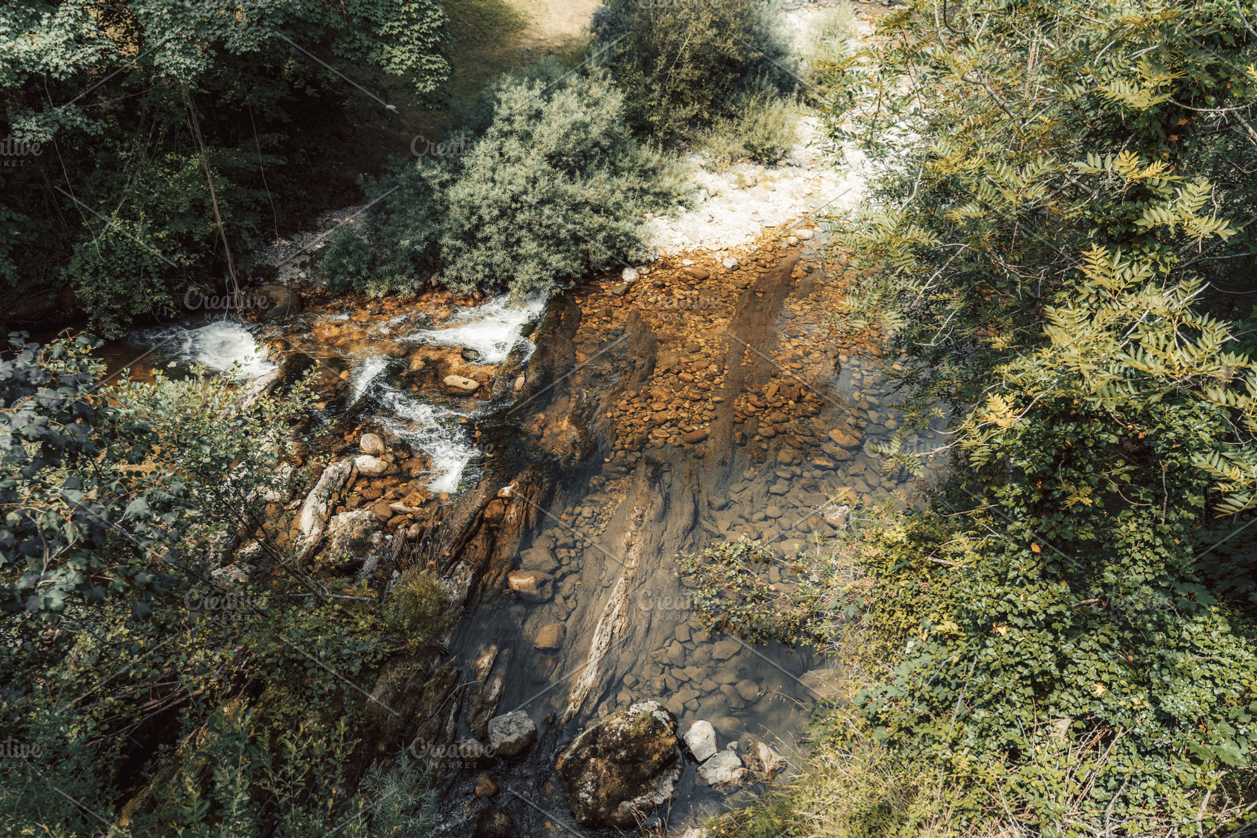 Clear stream in rocky forest bed, a Nature Photo by SkyNext