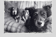 Grunge Dust and Scratches Overlays, a Brushes & More by PhotoSpirit (Thumbnail 7 of 8)