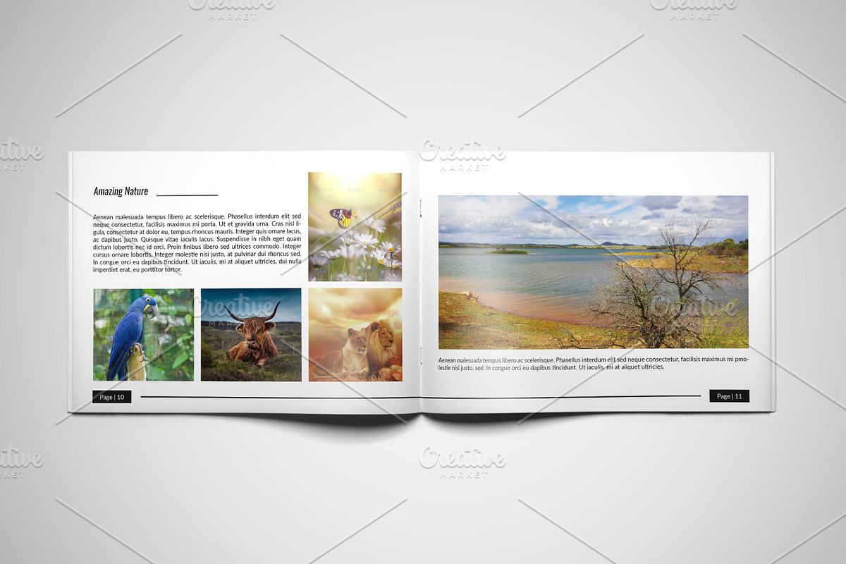 Photographer Portfolio Brochure-V493, a Brochure Template by Template Shop (Photo 5 of 13)
