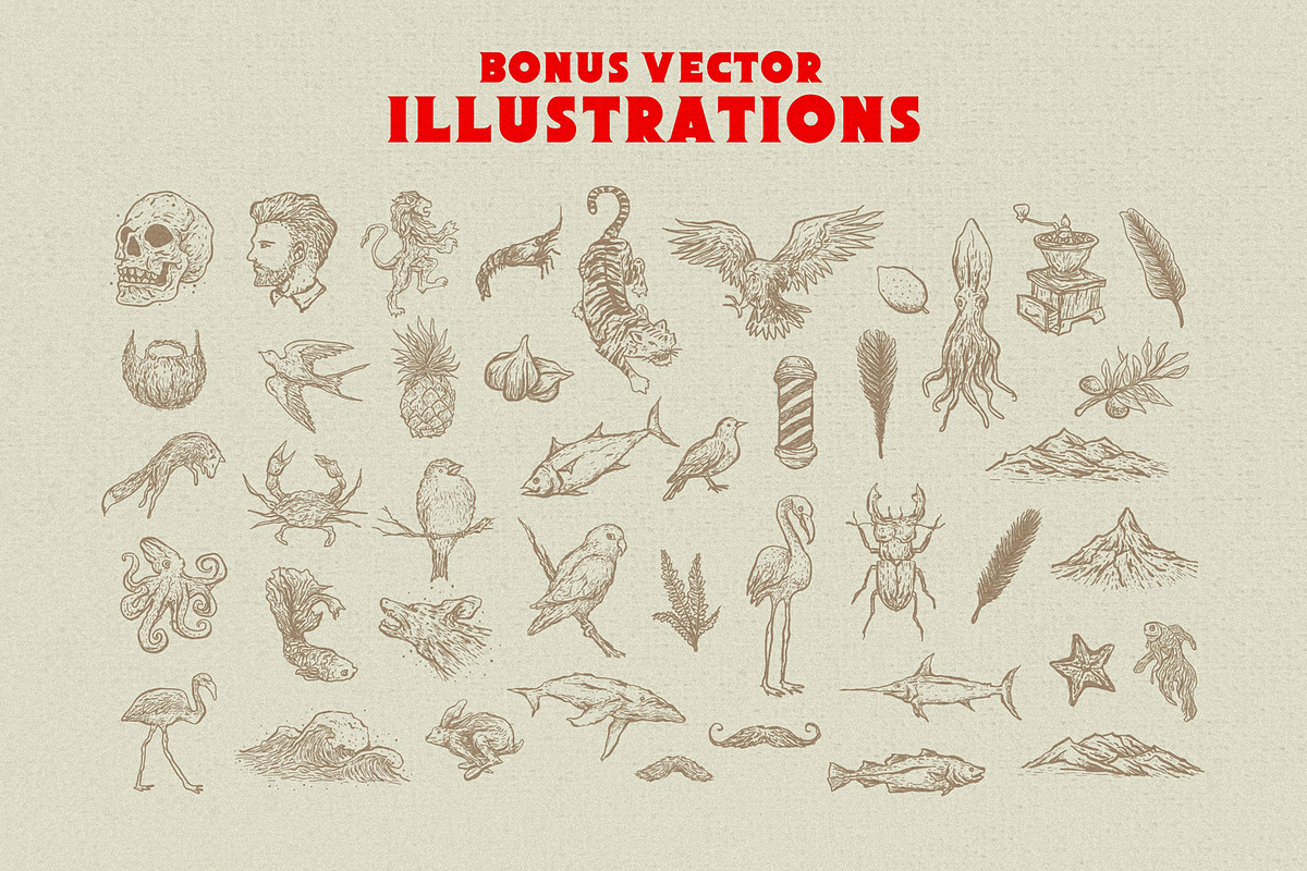 Berson Font Duo + Bonus preview 5