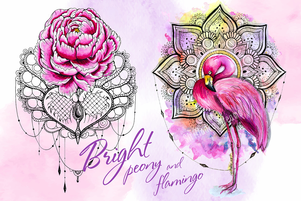 Set of bright watercolor animals, an Animal Illustration by Siriliadka Dreams (Photo 8 of 11)