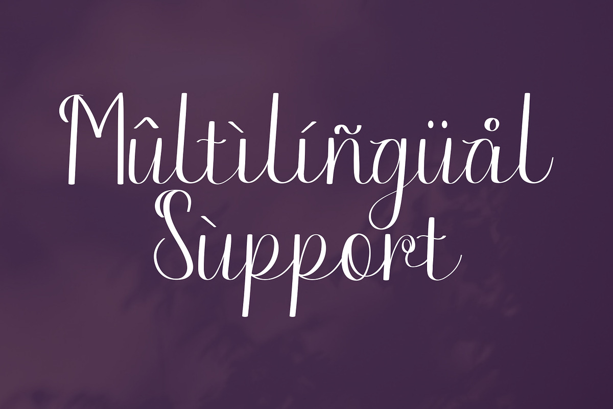 Paletta Script Fonts, a Script Font by mahstudios (Photo 11 of 15)