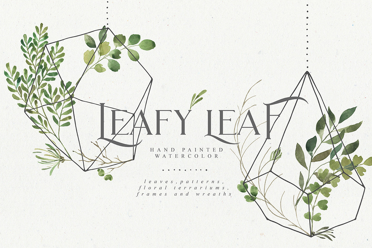 Leafy Leaf Collection, an Animal Illustration by Julia Dreams (Photo 1 of 7)
