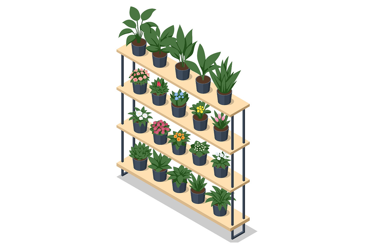 Isometric potted plant display shelf, a Person Illustration by Golden Sikorka (Photo 1 of 3)