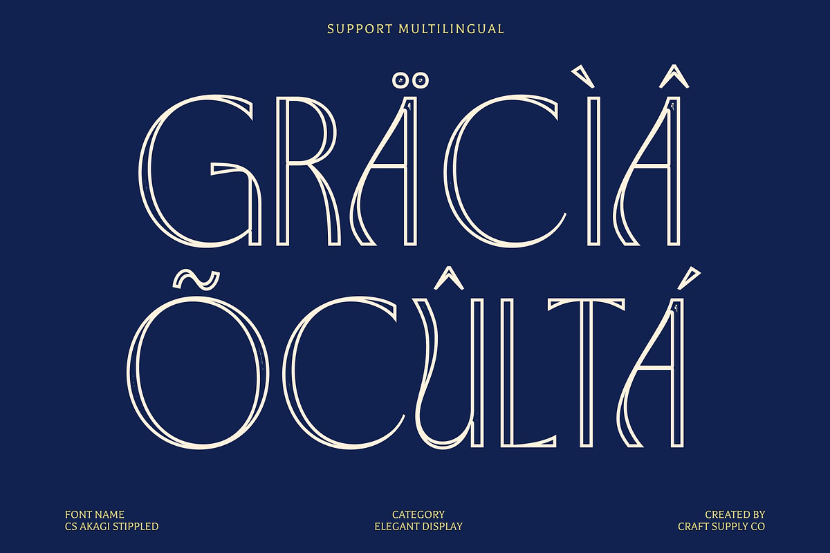 CS Akagi Stippled, a Sans Serif Font by Craft Supply Co. (Photo 7 of 8)