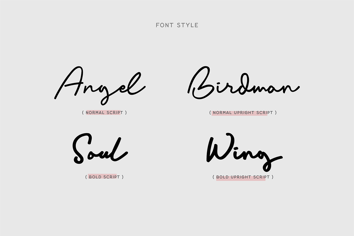 Balig Script -Elegant Signature Font preview 7