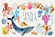 From The Sea Ocean Clipart, an Illustration by Twigs and Twine (Thumbnail 12 of 12)