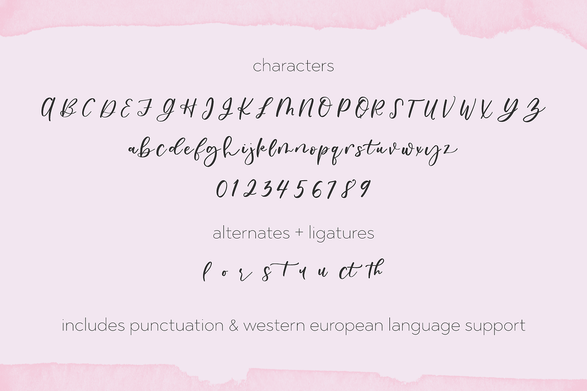 Oakley May Script, a Script Font by Beck McCormick (Photo 9 of 9)