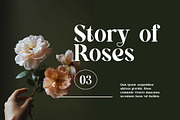 Roadworthy Elegant Serif Font, a Serif Font by UICreative (Thumbnail 3 of 13)