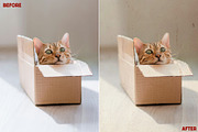 100 Kraft Paper Textures, a Texture Graphic by Bart Wesolek (Thumbnail 7 of 8)