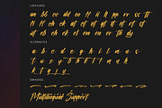Sinthetic Virtual Modern Brush Font, a Script Font by stylishtype.co (Thumbnail 19 of 20)