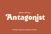 Antagonist Casual Bold Serif, a Serif Font by Haksen (Thumbnail 1 of 15)