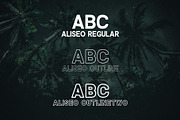 Aliseo Font Family - Sans Serif, a Sans Serif Font by RC graphics (Thumbnail 2 of 8)