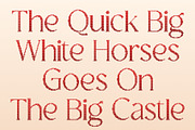 CS Granvile Disco, a Serif Font by Craft Supply Co. (Thumbnail 4 of 8)